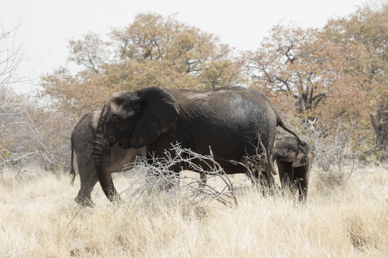 c_2015_08_30 11_57_10_783